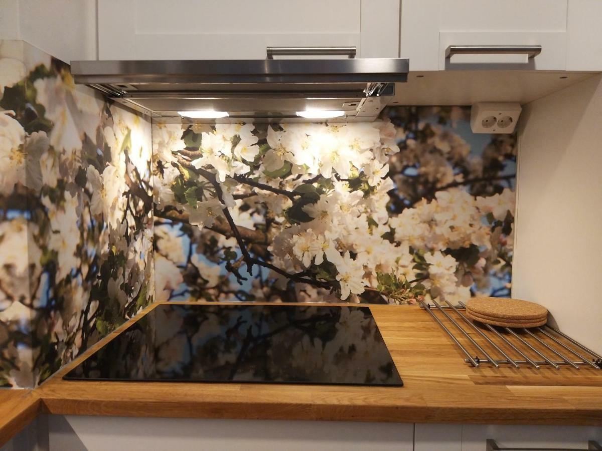 Studiohuoneisto Lohjan Keskusta 2 Luaran gambar