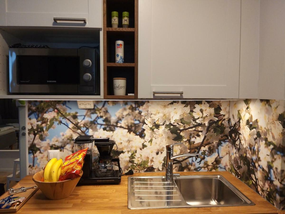 Studiohuoneisto Lohjan Keskusta 2 Luaran gambar